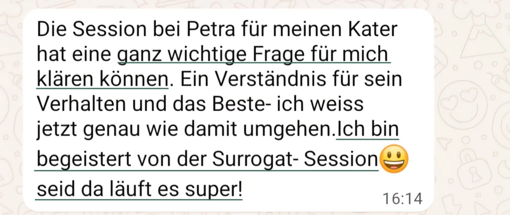 Feedback Tierbegleitung